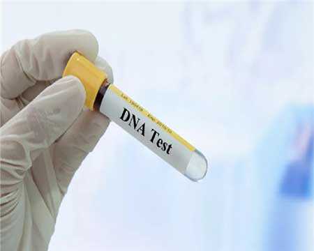 天水亲子鉴定的权威机构 天水星瑞生物做DNA亲子鉴定要多久出结果-