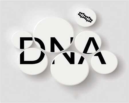 德阳亲子鉴定哪家好-DNA亲子鉴定检测，确认亲子关系