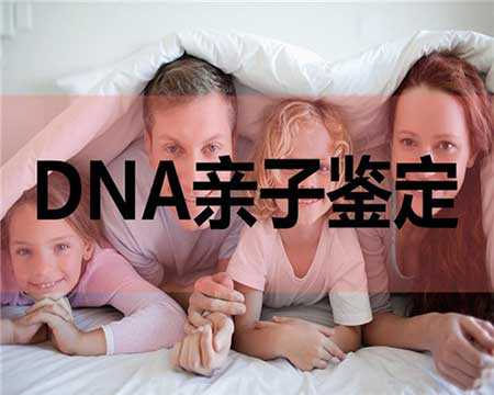 DNA亲子鉴定机构十大排行榜，DNA亲子鉴定机构哪个品牌好？ 江都亲子鉴定哪家
